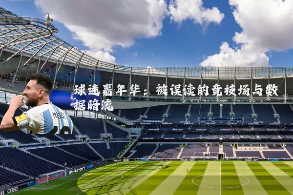球迷嘉年华:被误读的竞技场与数据暗流